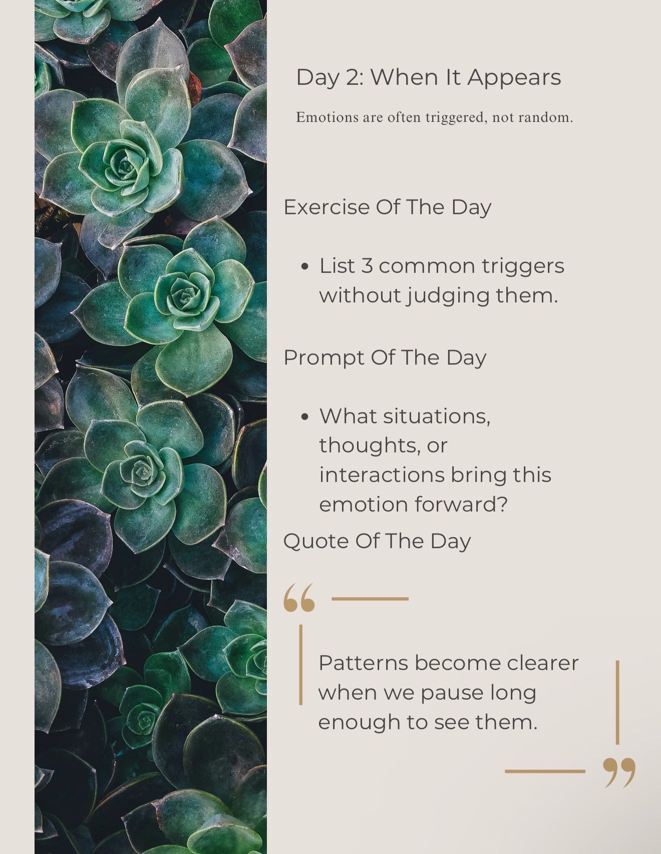 30 Day Decluttering Journal