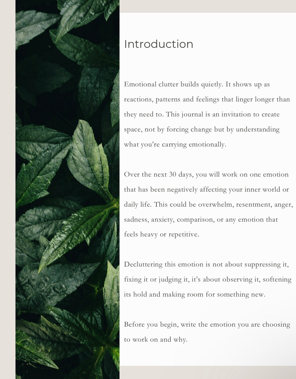 30 Day Decluttering Journal