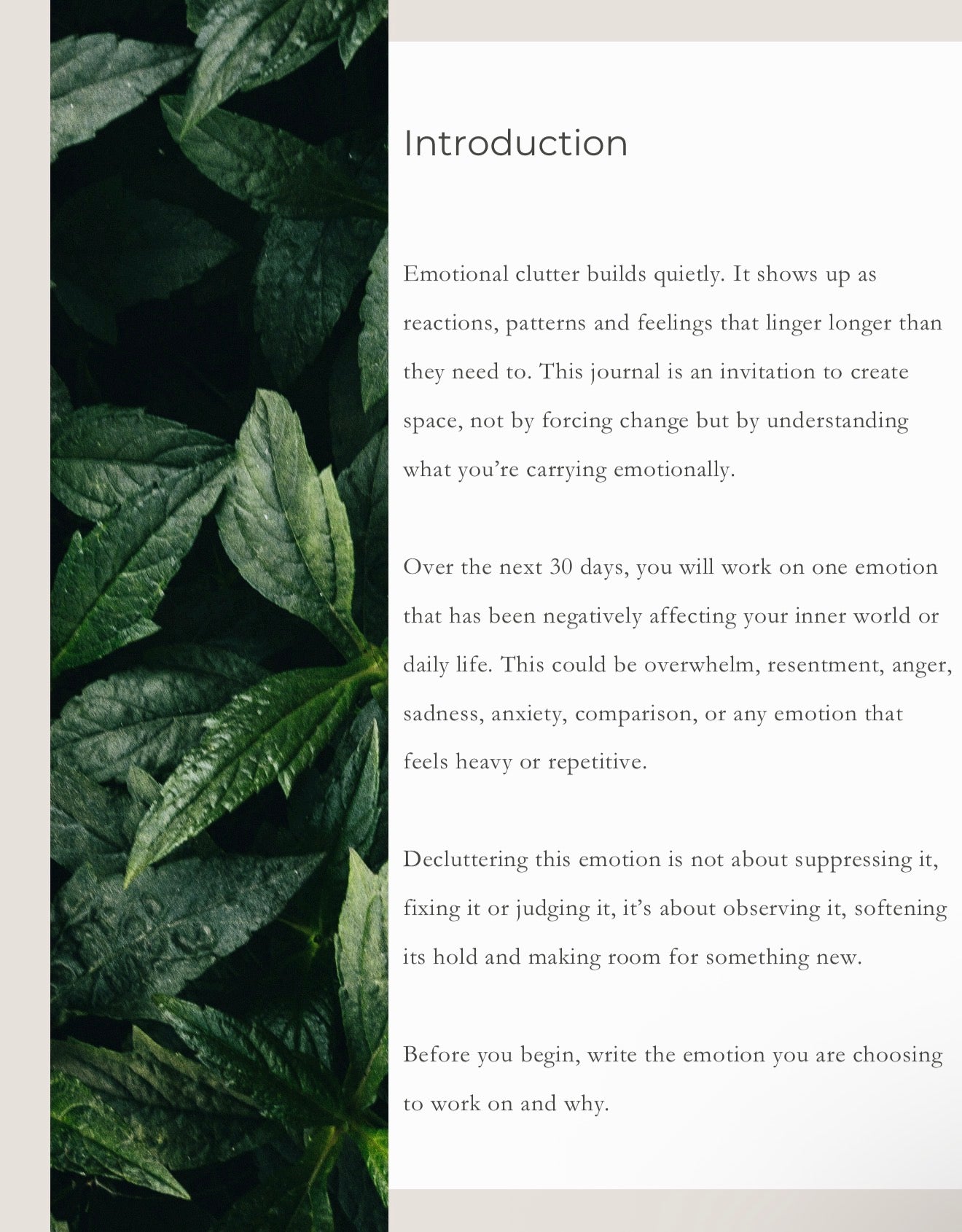 30 Day Decluttering Journal